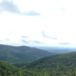 Meet your Posher, Marlee